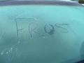 (Frost on Pine Island December 16, 2010)